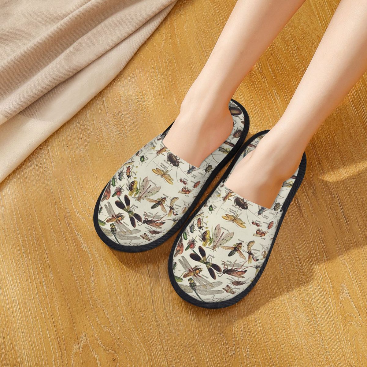 Insects Chart. Scientific Illu - đánh giá và giá Shoes Women Chart