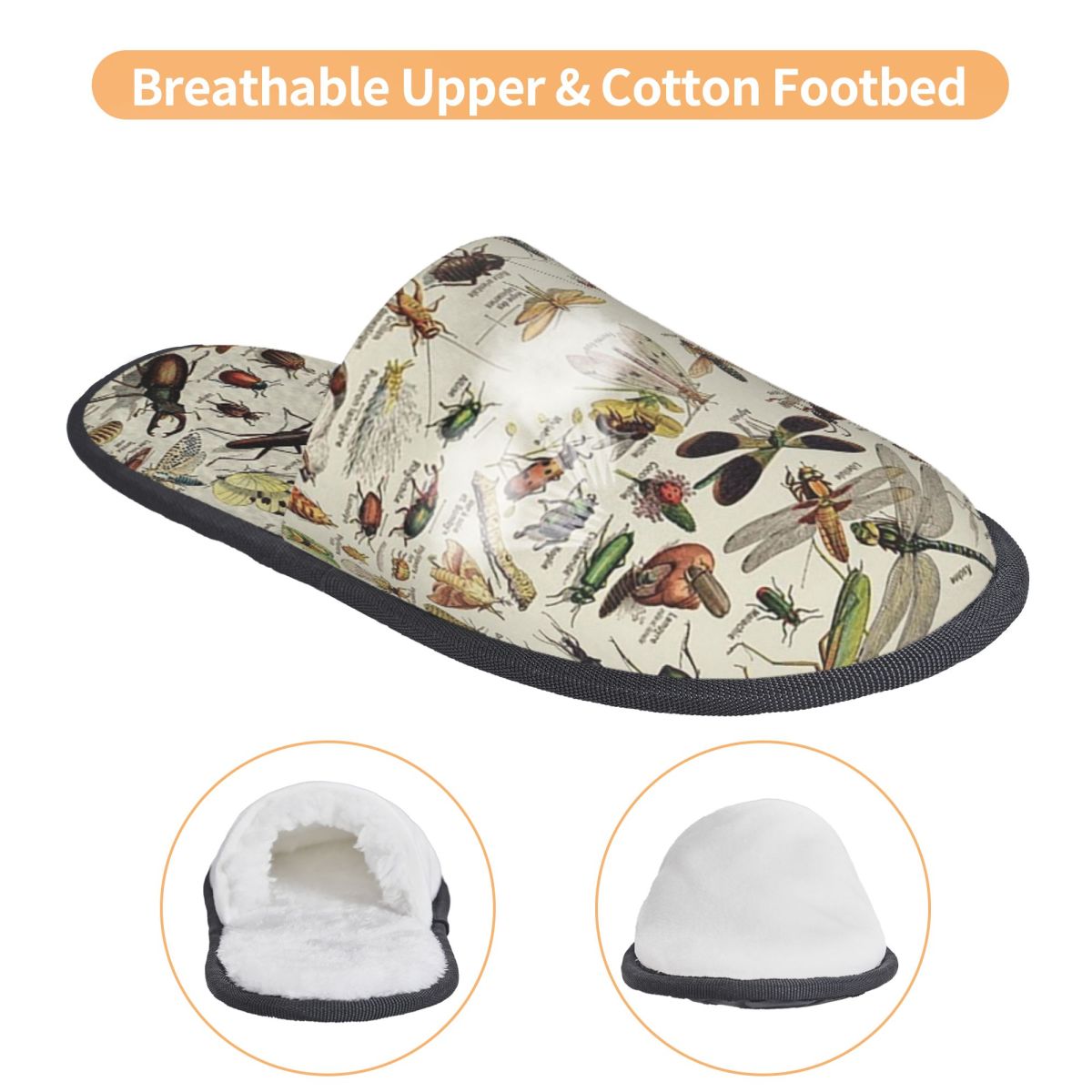 Insects Chart. Scientific Illu - đánh giá và giá Shoes Women Chart